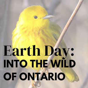 TAV - Earth Day: Int